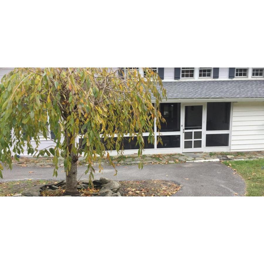 Interlake Rv Park & Campground رينبك المظهر الخارجي الصورة