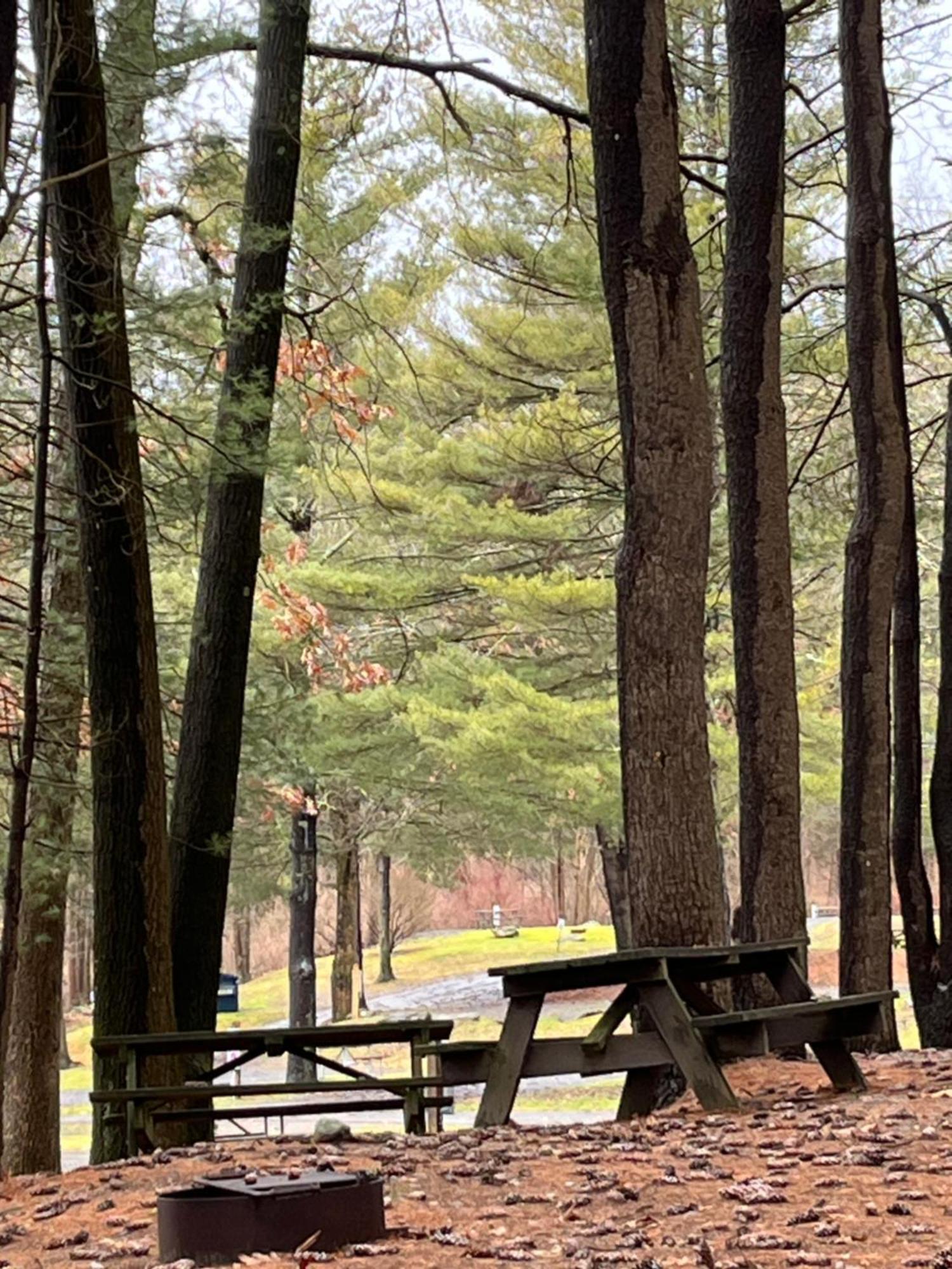 Interlake Rv Park & Campground رينبك المظهر الخارجي الصورة